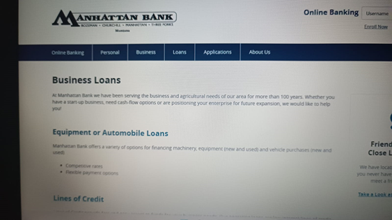 Manajemen Risiko Perbankan - Risiko Kredit (Studi Kasus Bank Manhattan)